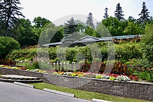 Rows of colourful ornamental flower gardens at Little Lake Park