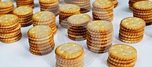 rows of cookies in perspective on a white background, close up