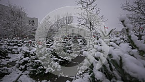 Rows covered in snow fur trees at Christmas and New Year Eve fair in snowy weather in Munich, Germany. Selling Christmas