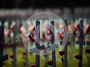 Rows of crosses with Canadian flags