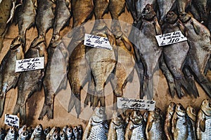 Rows of dried fish lie on counter