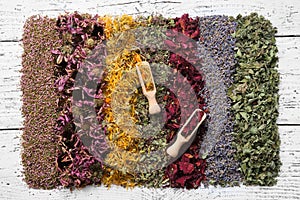 Rows of dry medicinal herbs on white board. Two wooden scoop.