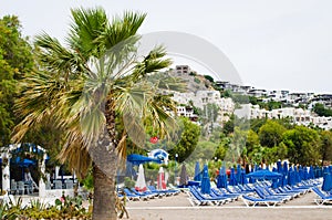 Rows of empty blue sun loungers and umbrellas on the beach. Camel Beach in Turkey