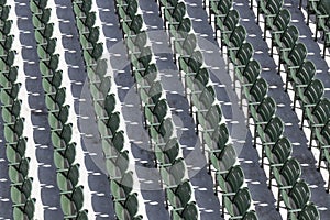 Rows of empty green seats at an outdoor sporting event on a sunny day