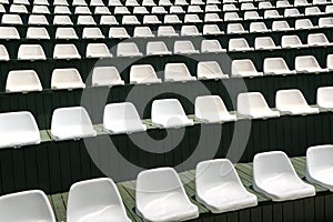 Rows of empty white chairs in the summer hall for carrying out concerts