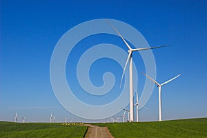 Rows Of Energy Producing Windmills On Energy Farm