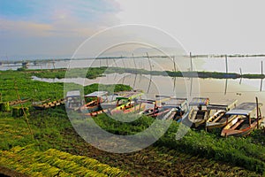 Rows of fishing boats on the edge of Lake Rawa Pening, Indonesia