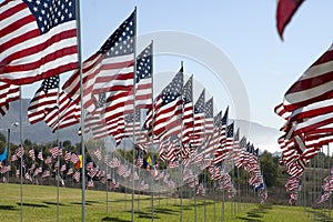 Rows of flags