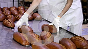 Rows of fresh bread loafs lying on the shelf.Baking bread process