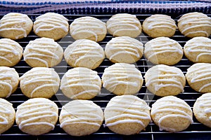 Rows of fresh homemade lemon sugar cookies with drizzled icing