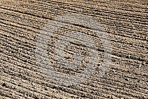 Freshly plowed farm field in Idaho