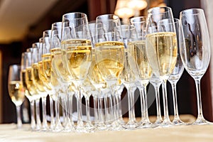 Rows of full champagne or sparkling wine glasses.