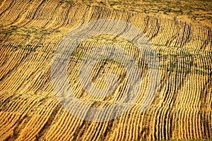 Rows and Furrows on Ploughed Field for Farming Agricultural Prod