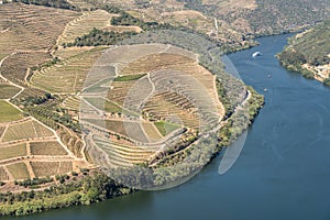 Rows of grape vines line the valley of the River Douro in Portugal