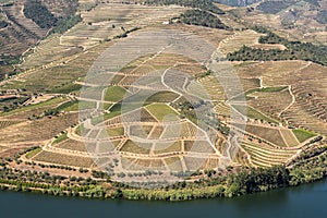 Rows of grape vines line the valley of the River Douro in Portugal