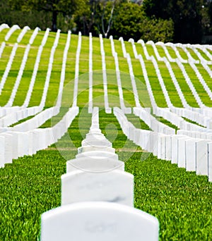 Rows of grave markers in a military cemetery