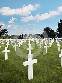 Rows of graves photo