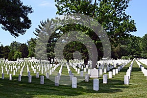Rows of graves at Arlington National Cemetery