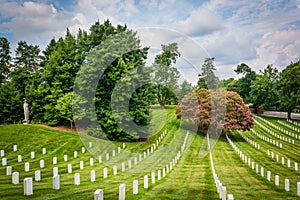 Rows of graves at the Arlington National Cemetery, in Arlington, Virginia.