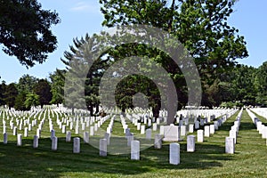 Rows of graves at Arlington National Cemetery photo