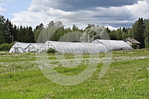 rows of greenhouses