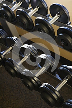 Rows of Hand Weights on Rack