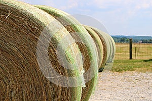 Rows of Hayrolls near Fenced Pasture