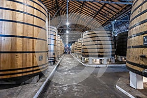 Rows of large oak barrels of port wine inside the cellar of the Real Companhia Velha company, Porto, Portugal