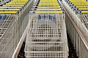 Rows of lined-up Shopping Carts