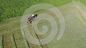 The rows making from dry hay before baling