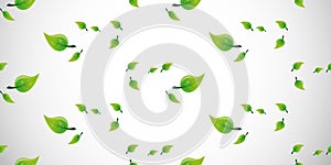 Rows of Many Green Leaves of Various Sizes - Pattern Background Design, Texture, Wallpaper Template for Web