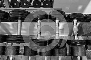 Rows of metal dumbbells on rack in the gym / sport club. Weight Training Equipment. - Image