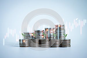 Rows of money coins for financial and business background. Savings and Accounts, Finance Banking Business Concept Ideas