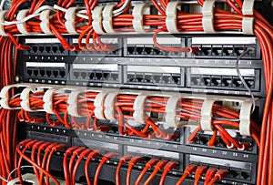 Rows of network cables connected to router and switch hub