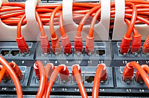 Rows of network cables connected to router and switch hub