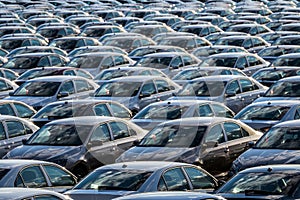 Rows of a new cars parked in a distribution center on a car factory on a sunny day