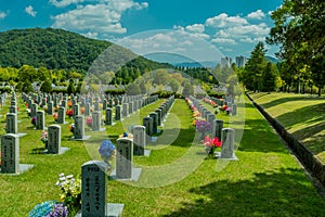 Rows of numbered headstones