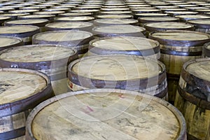 Rows of oak barrels in bourbon distillery