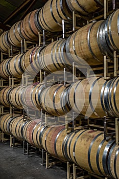 Rows of oak barrels stained with red wine stacked 4 high