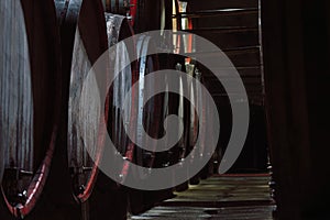 Rows of old oak barrels in the wine cellar