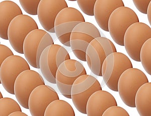 Rows of organic antibiotic free brown eggs