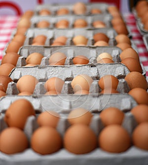 Rows of Organic Brown Large Eggs