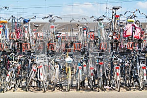 Rows of parked bicycles, Netherlands