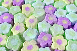 Rows of Pastel Colored Flower Shaped Marshmallow Candies for Backdrop