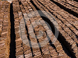 Rows of piled of logs , waiting to be processed. Log spruce trunks pile. Sawn trees from the forest. Logging timber wood industry.