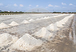 Rows of piles raw white sea salt in the salt farm samut songkhram province, Thailand