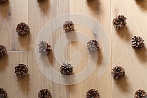 rows of pine cones aligned over light oak wooden background