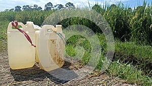 Rows of plastic on top of cast cement next to rice irrigation ditches and on the edge of rice farmers& x27; fields photo