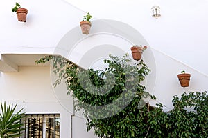 Rows of potted plants on white building