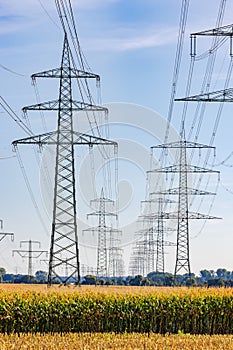 Rows of power poles with many power lines up to the horizon